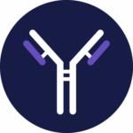 anti-IL-17A monoclonal antibodies