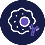 Elion Communications Respiratory Diseases Medical Writing Anti Inflammatory Agents