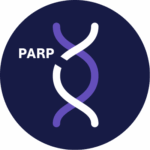 Eln017 Icons Parp Inhibitor