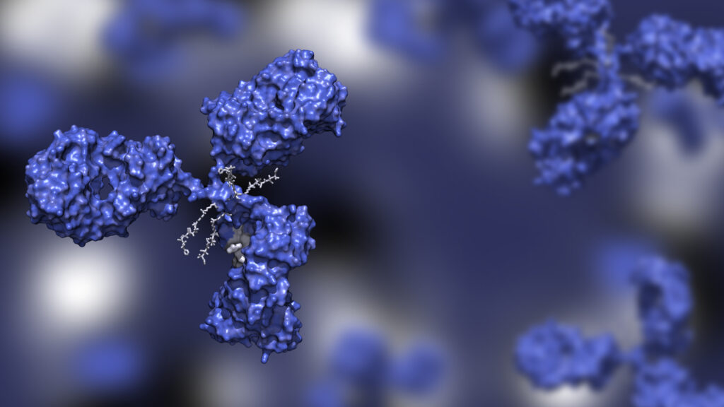 3D rendering of an antibody drug conjugate