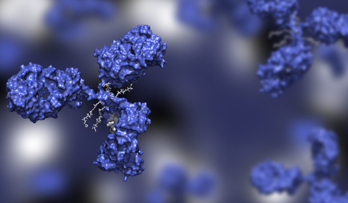 Antibody–drug conjugates: the future of targeted cancer therapies