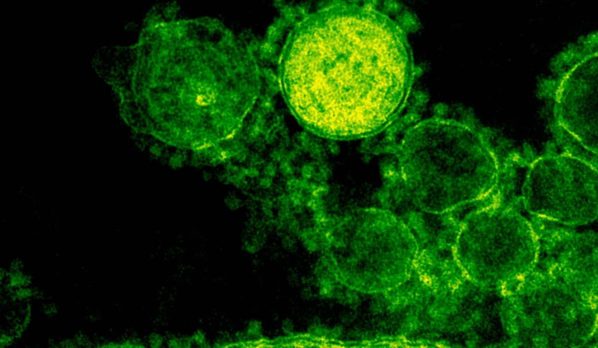 Why autoimmune diagnoses are missed: how communication helps